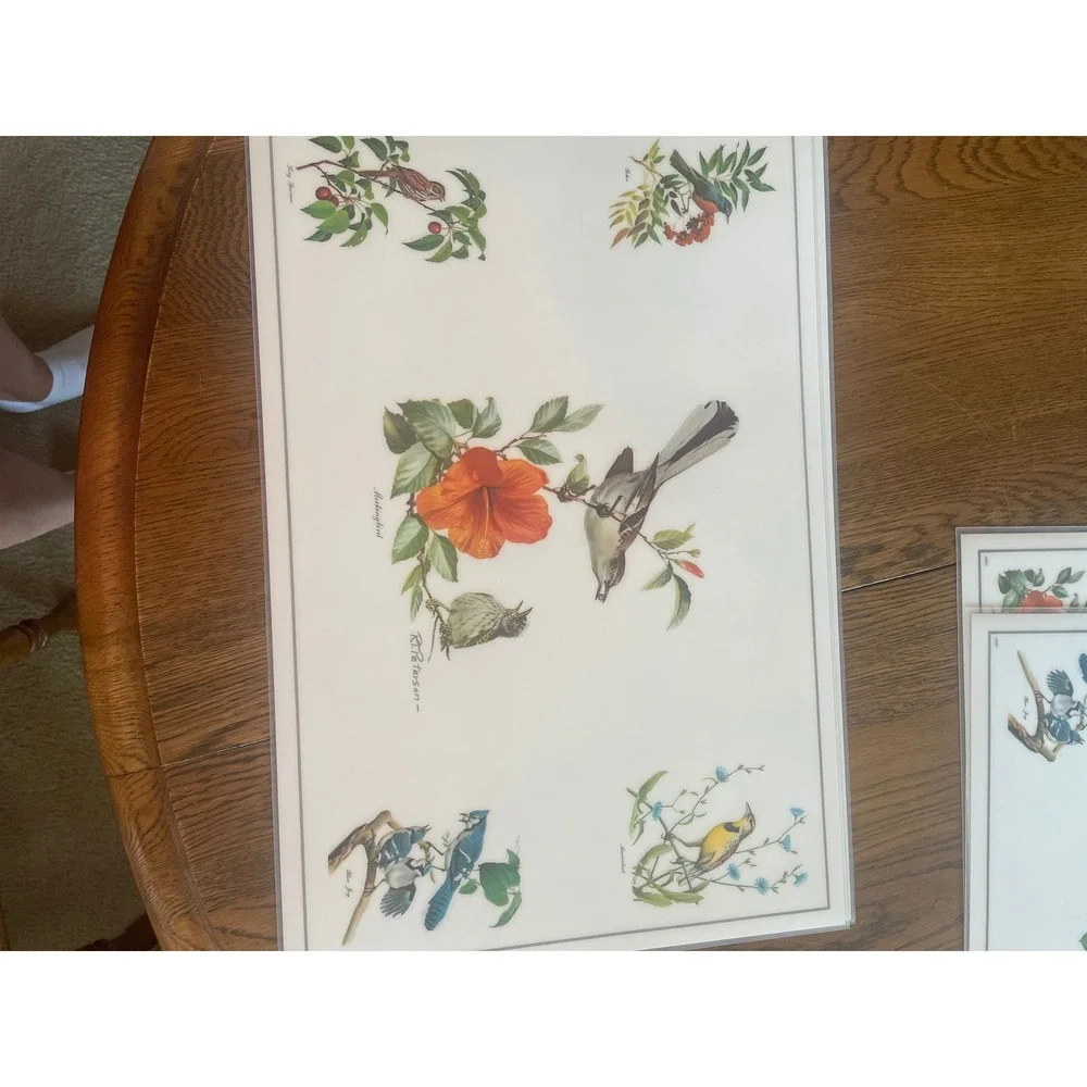 Vintage Roger Tory Peterson Songbird Placemats Set of 6 Nature Bird Art Decor